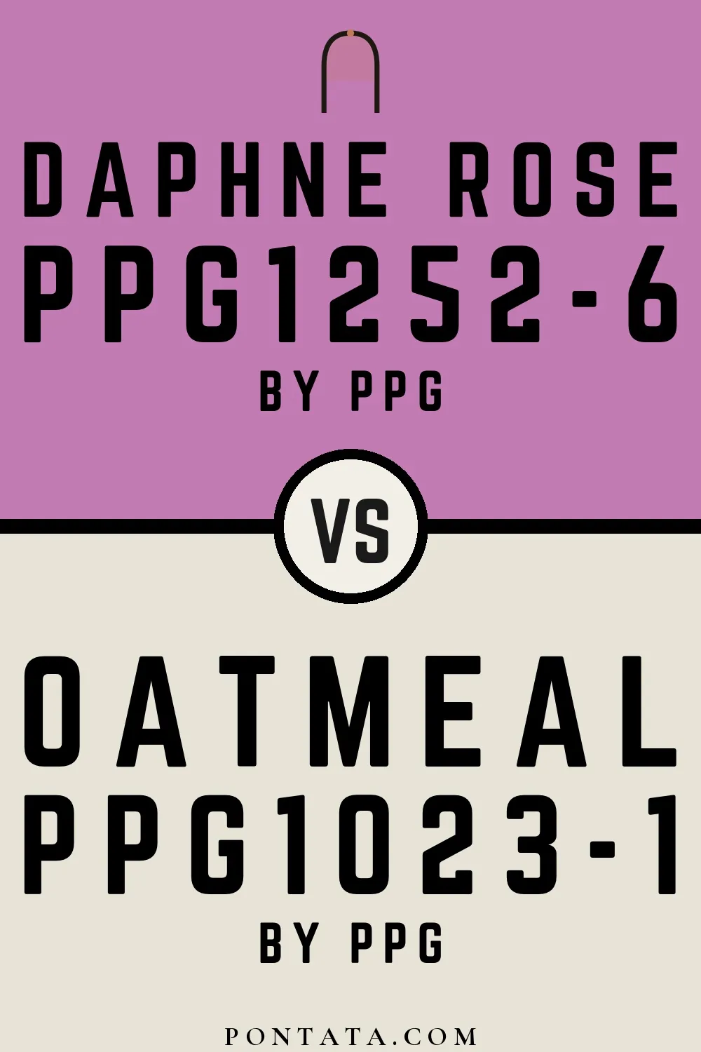 Daphne Rose vs Oatmeal