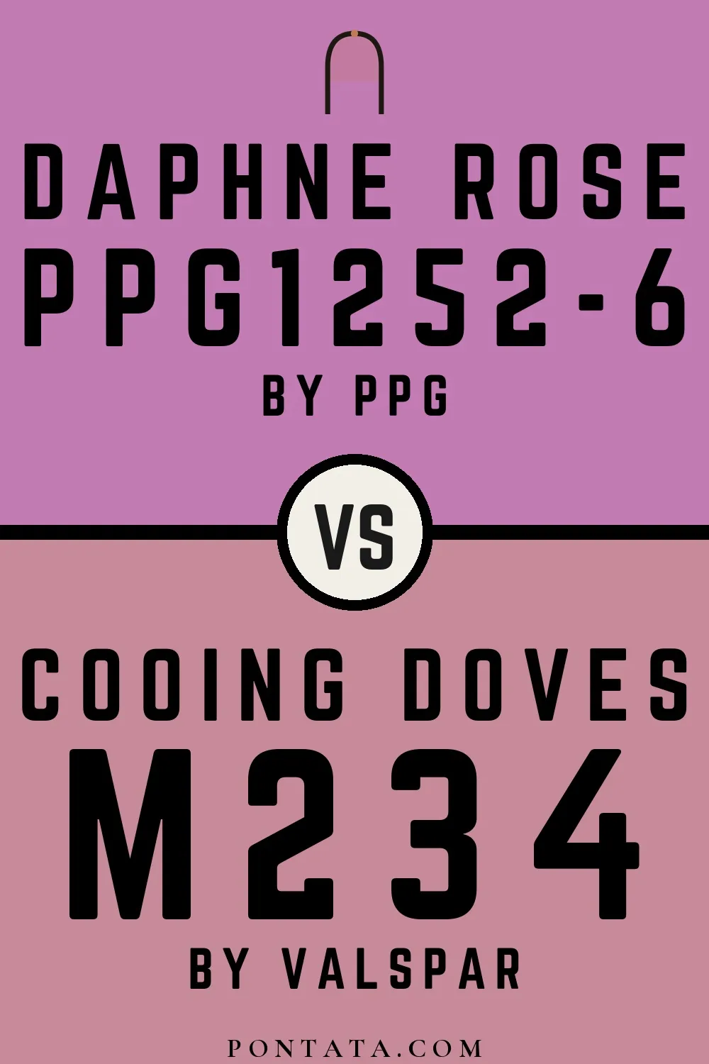 Daphne Rose vs Cooing Doves