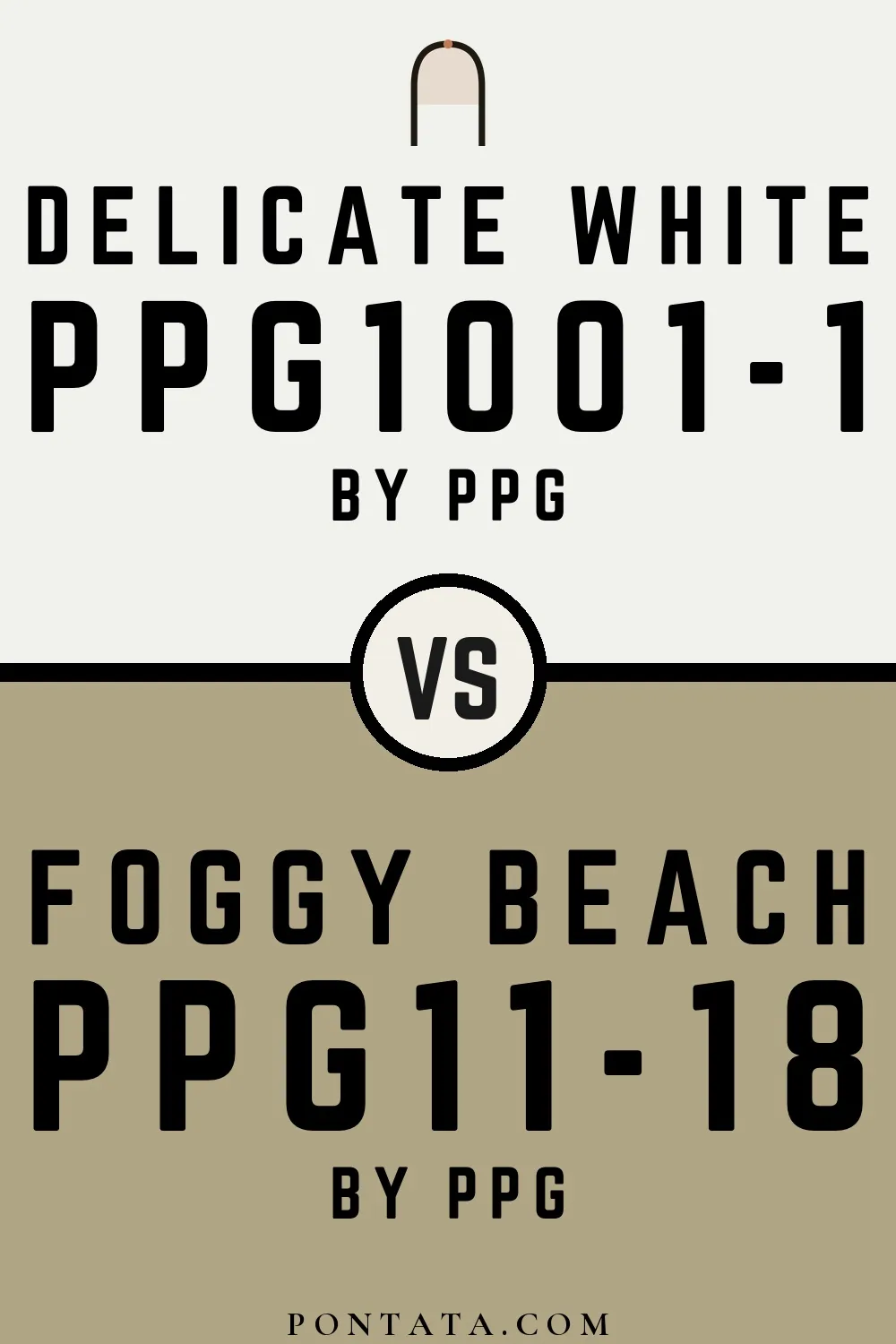 Delicate White vs Foggy Beach
