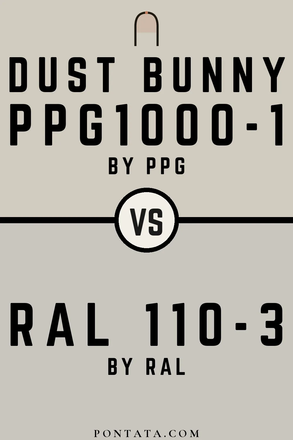 Dust Bunny vs RAL 110-3