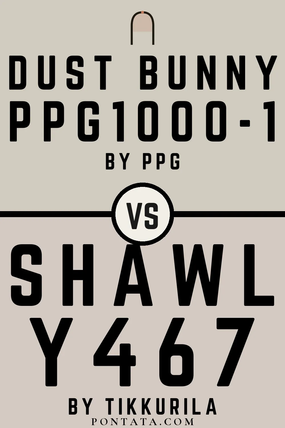 Dust Bunny vs Shawl
