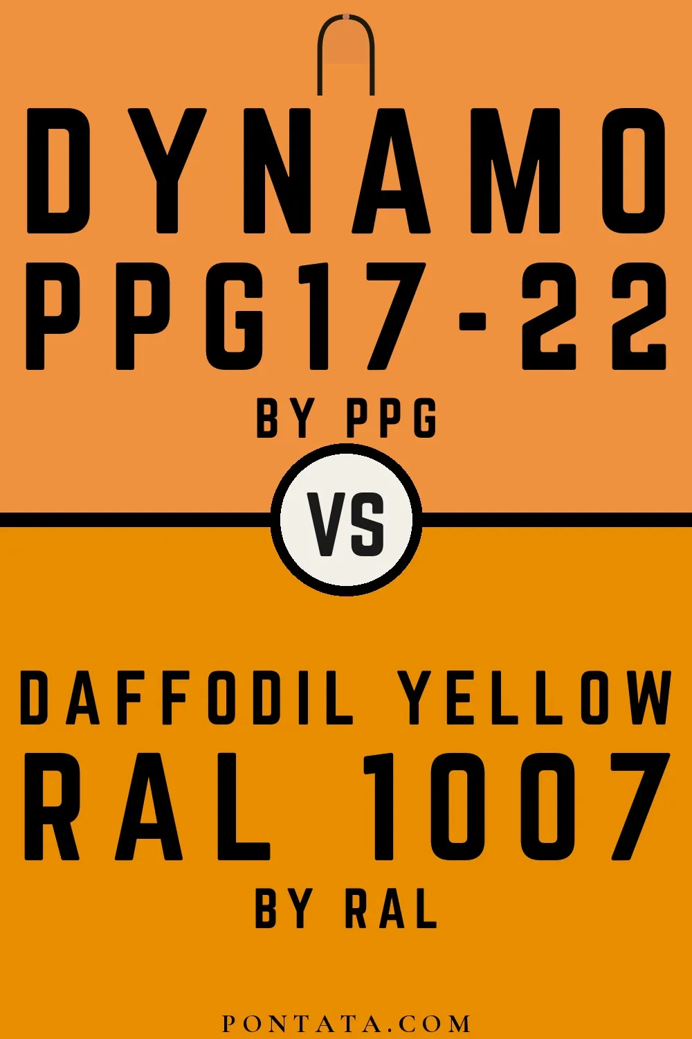 Dynamo vs Daffodil yellow