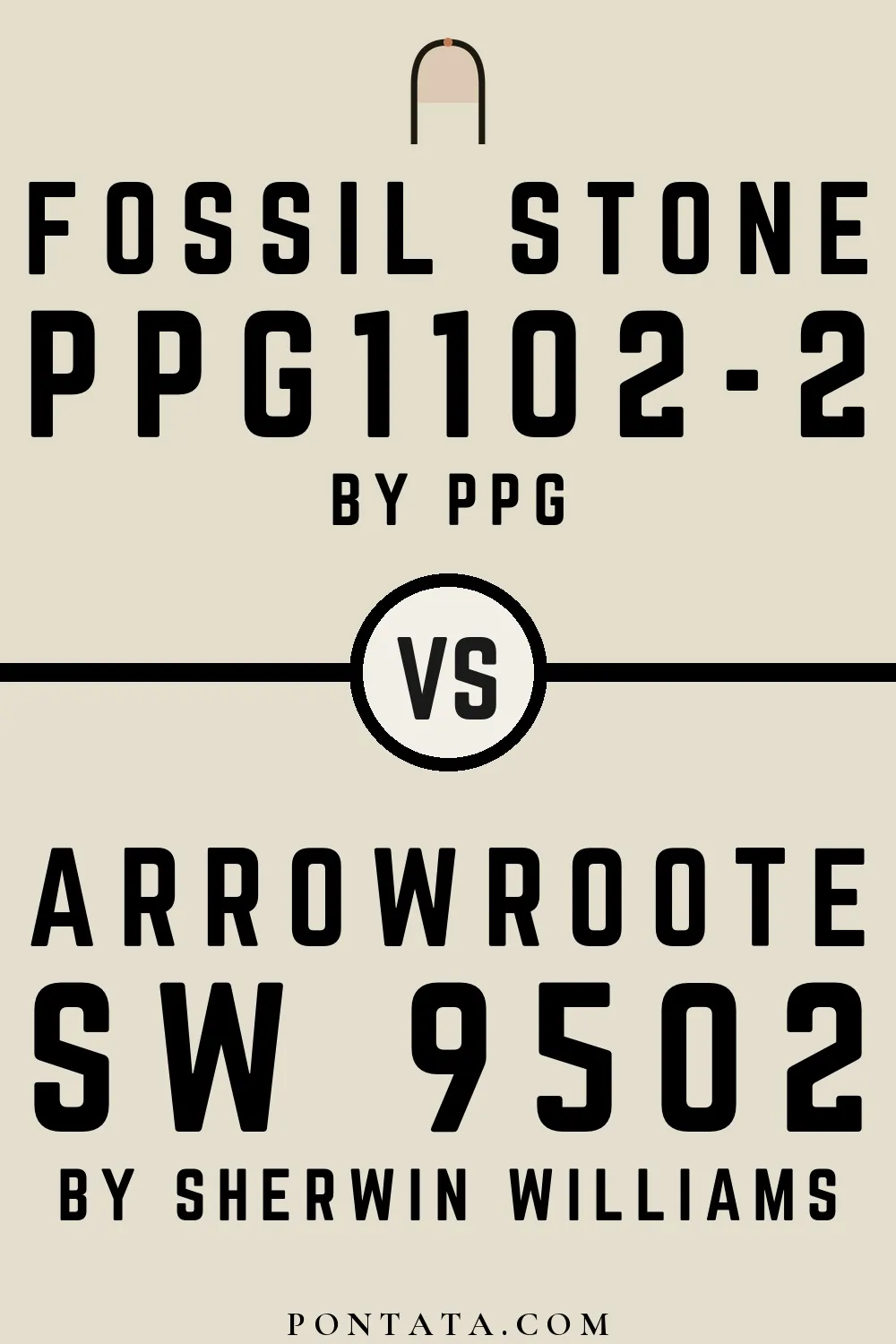 Fossil Stone vs Arrowroote