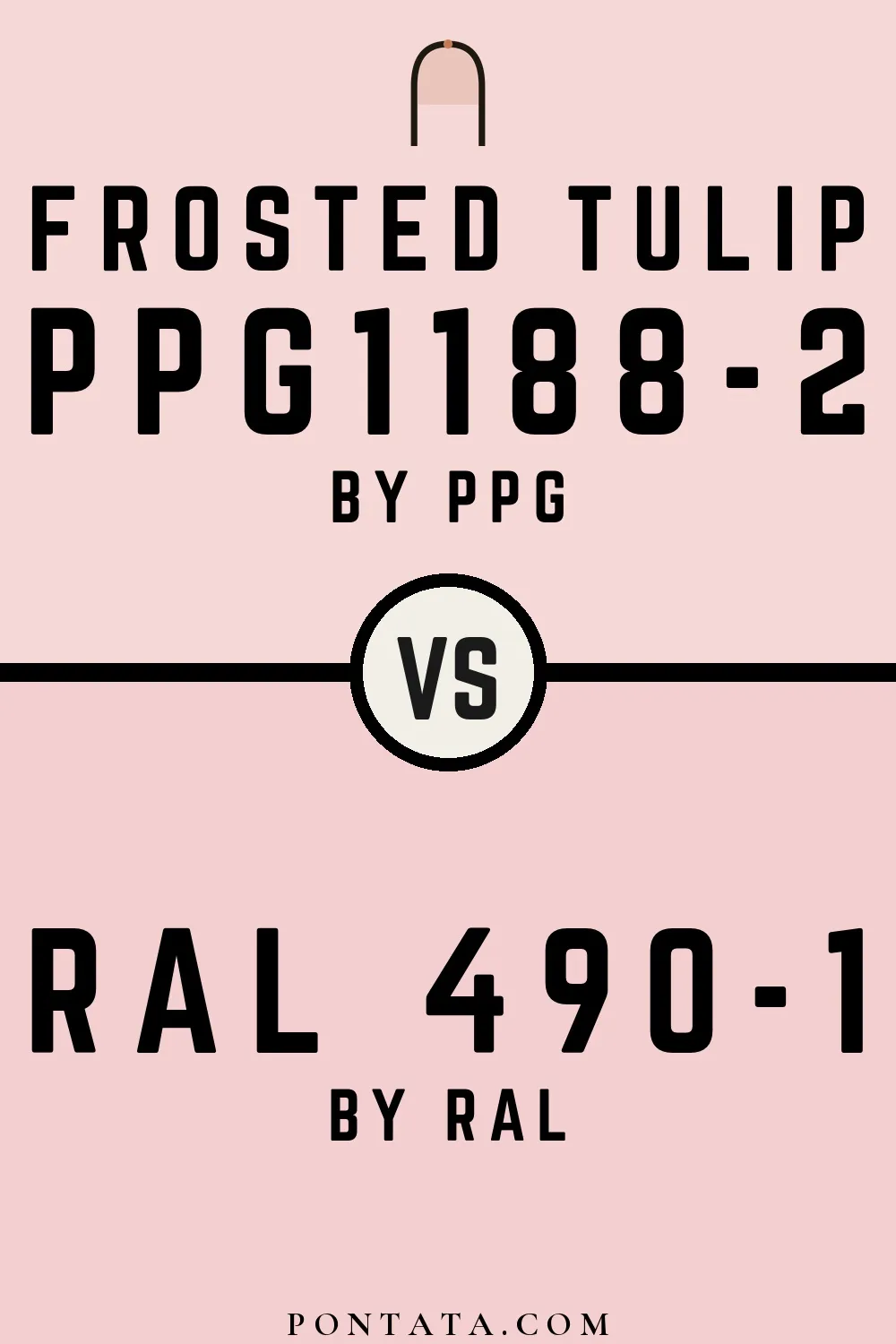 Frosted Tulip vs RAL 490-1