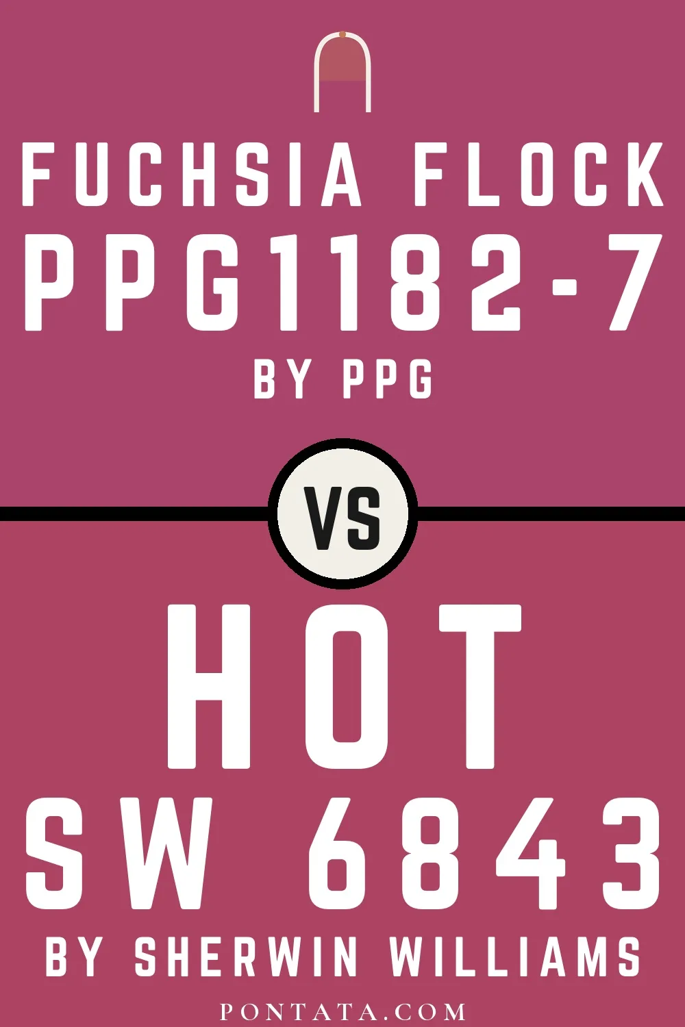 Fuchsia Flock vs Hot