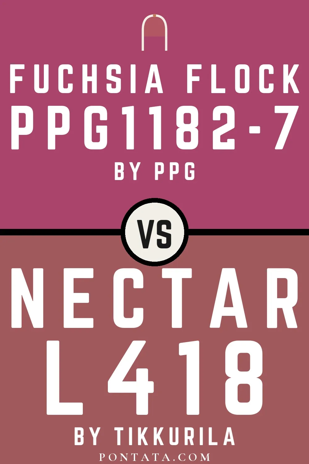 Fuchsia Flock vs Nectar