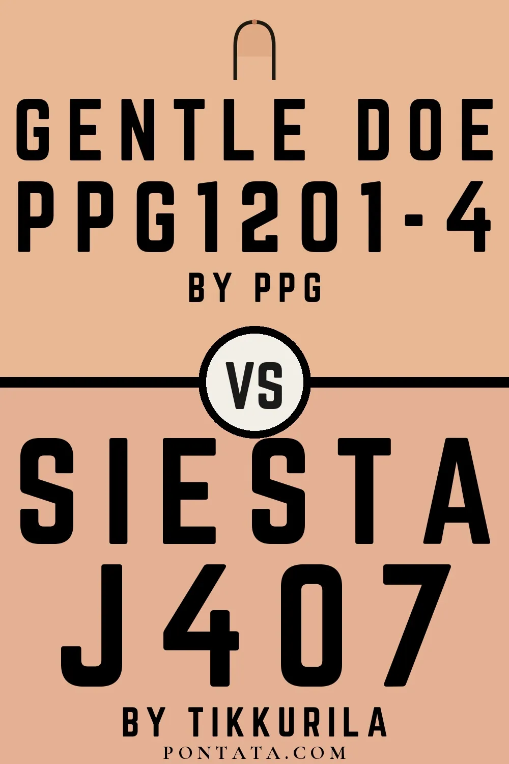 Gentle Doe vs Siesta