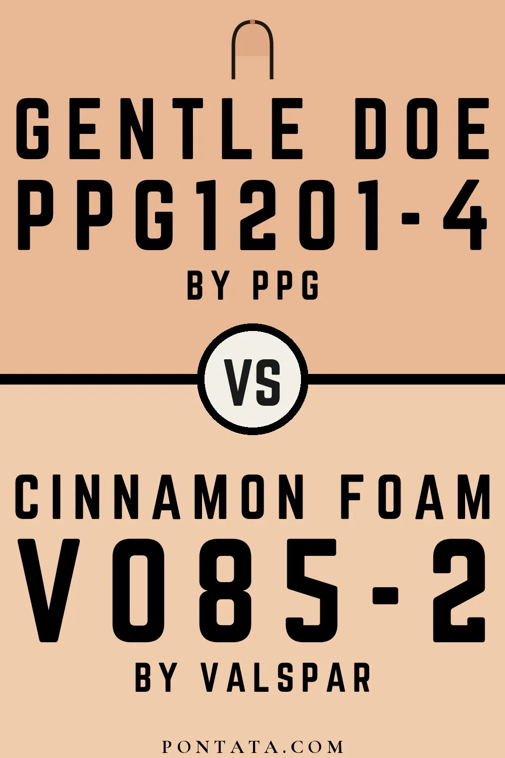 Gentle Doe vs Cinnamon Foam
