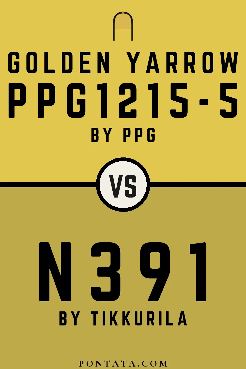 Golden Yarrow vs N391