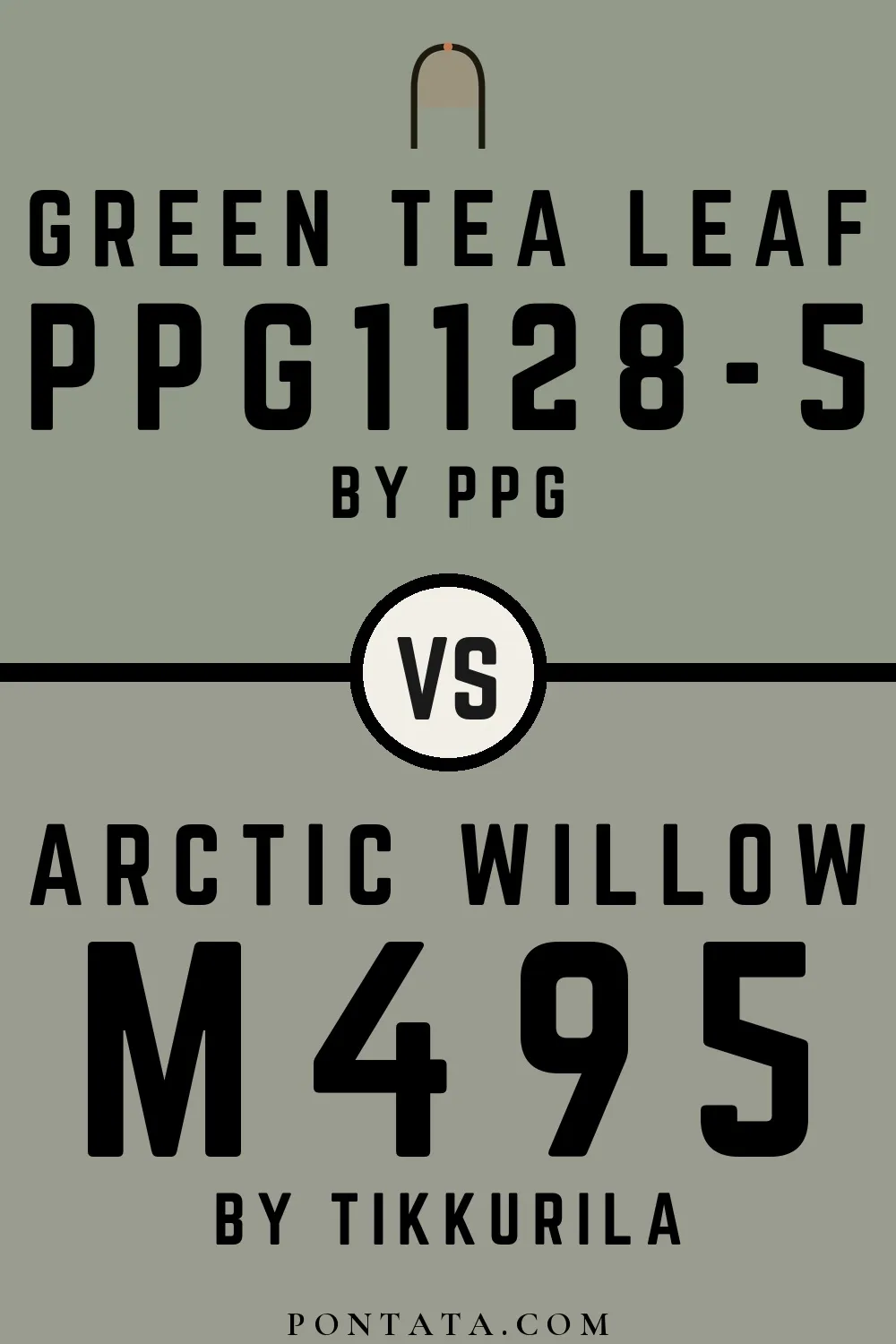 Green Tea Leaf vs Arctic Willow