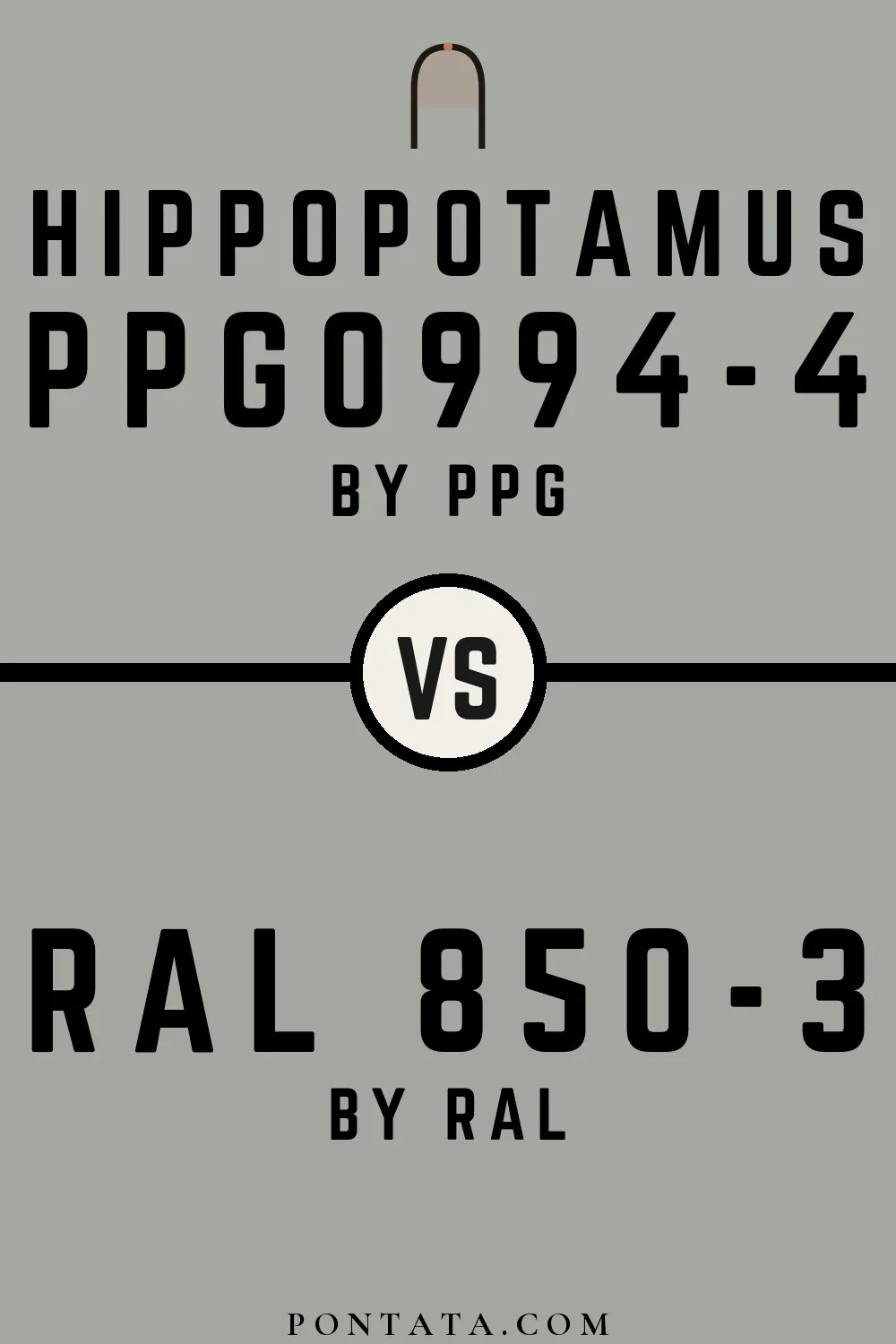 Hippopotamus vs RAL 850-3