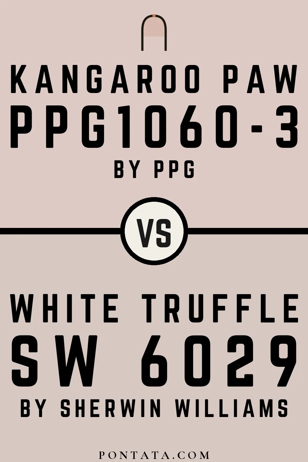 Kangaroo Paw vs White Truffle