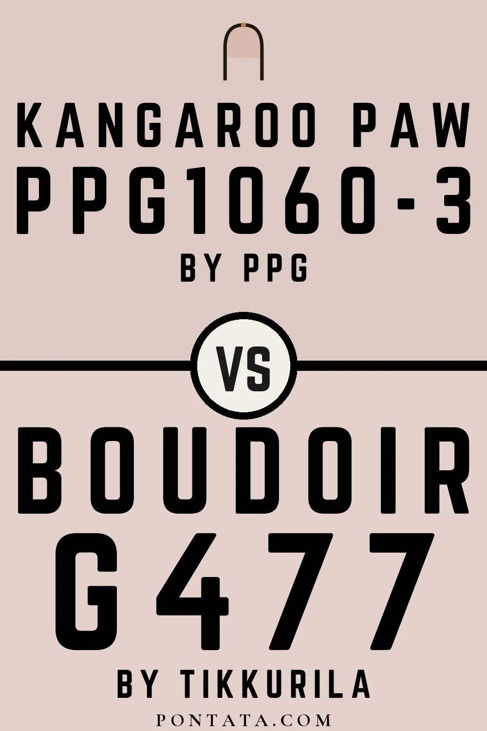 Kangaroo Paw vs Boudoir