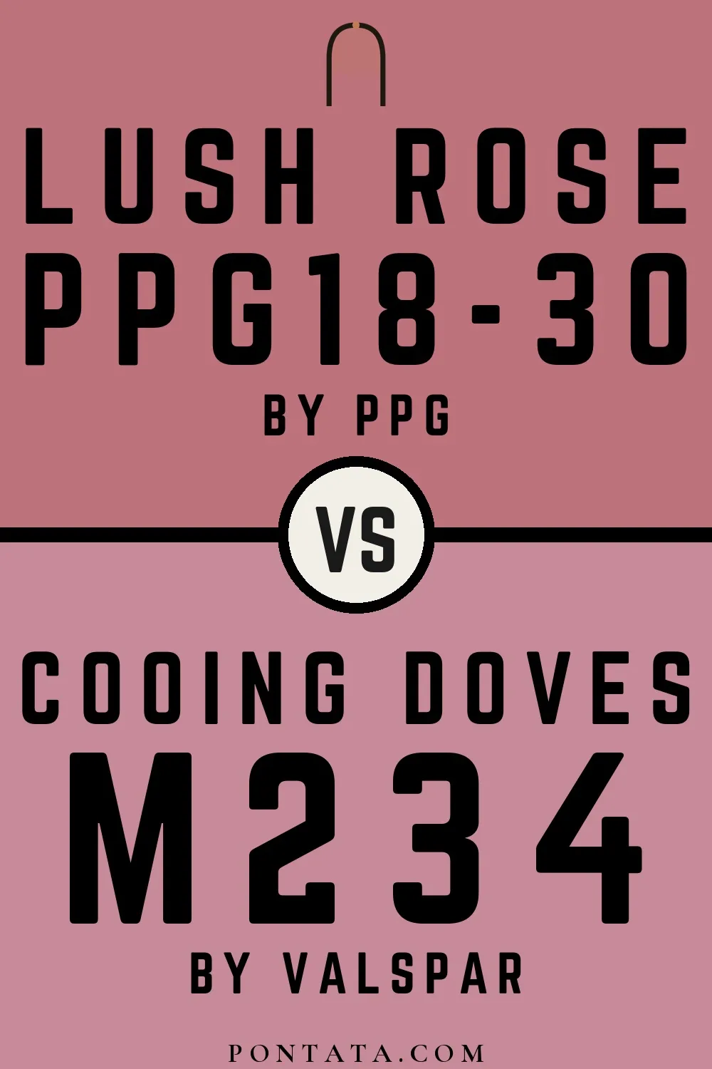 Lush Rose vs Cooing Doves