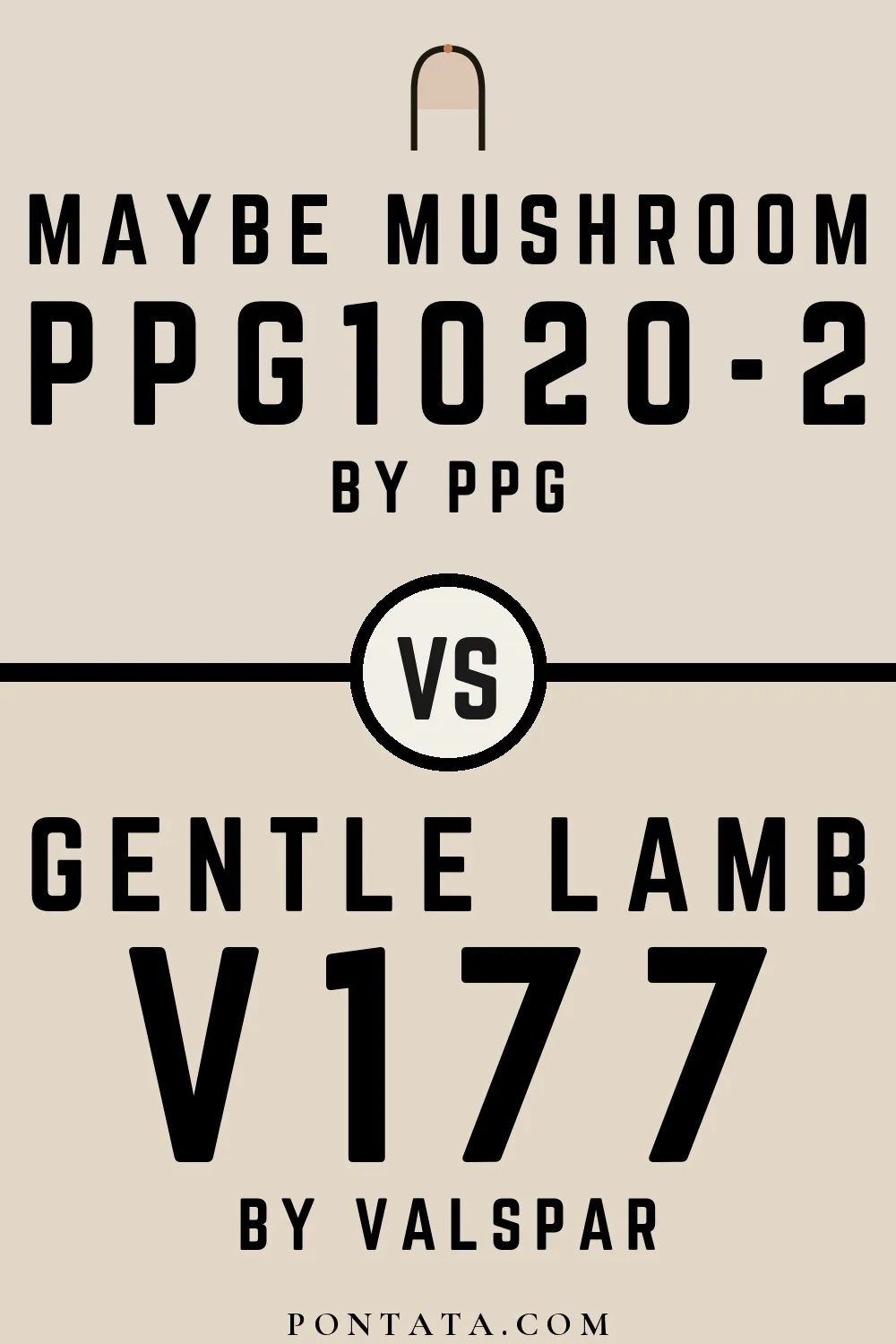 Maybe Mushroom vs Gentle Lamb