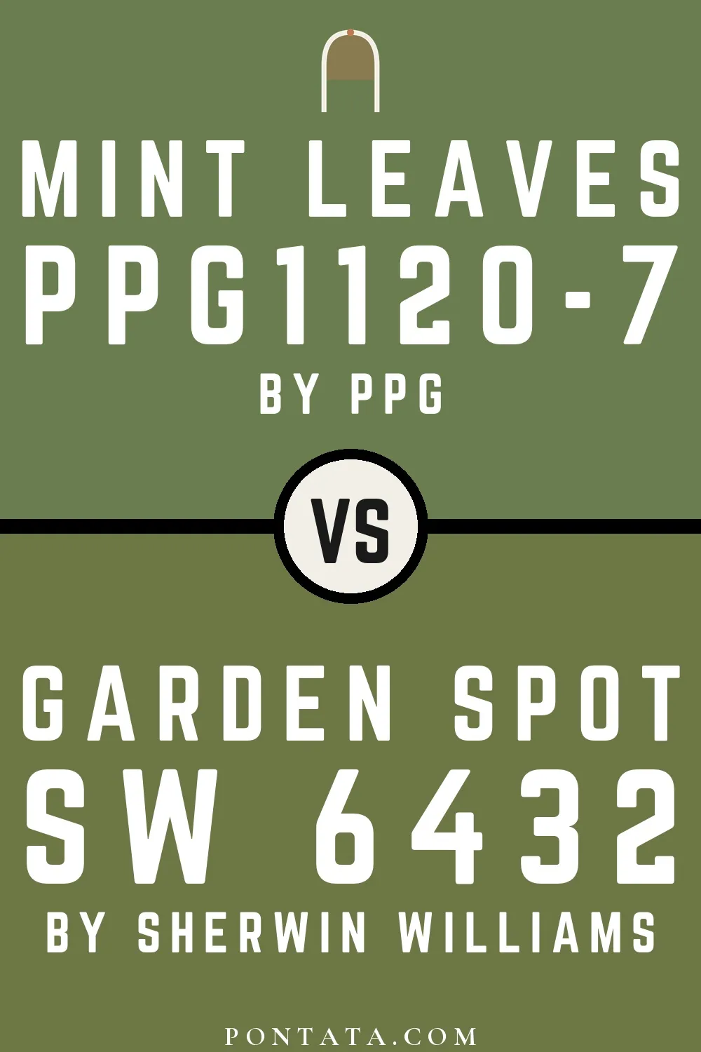 Mint Leaves vs Garden Spot
