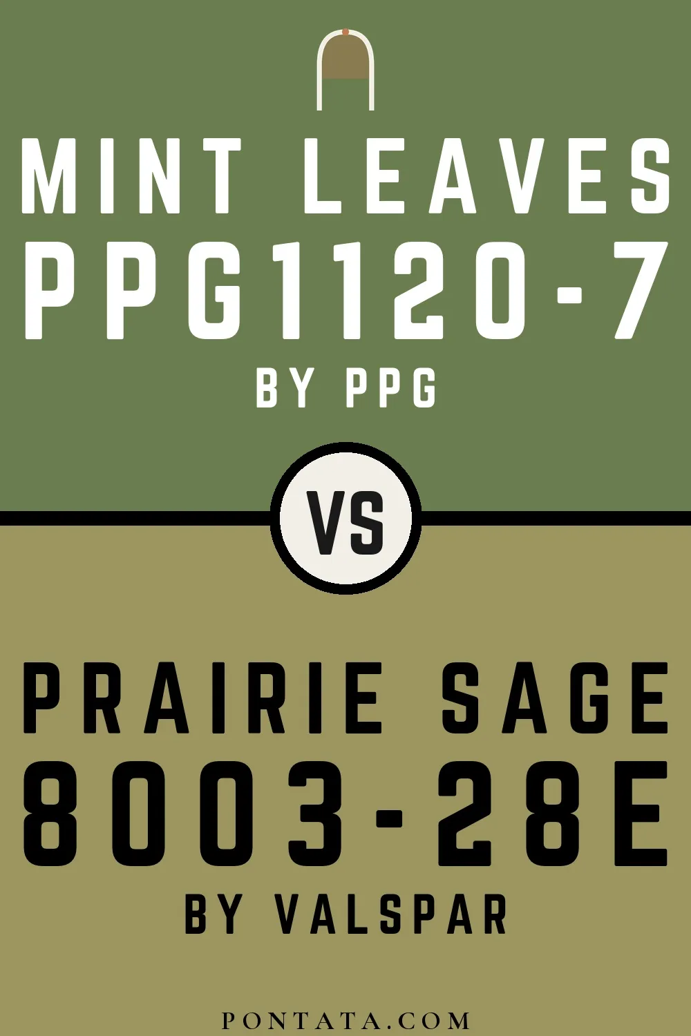 Mint Leaves vs Prairie Sage