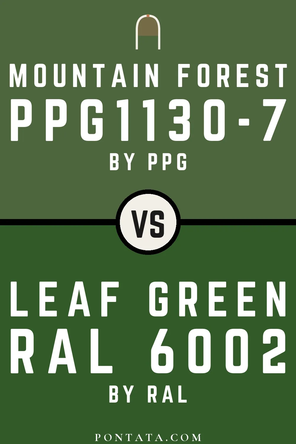 Mountain Forest vs Leaf green