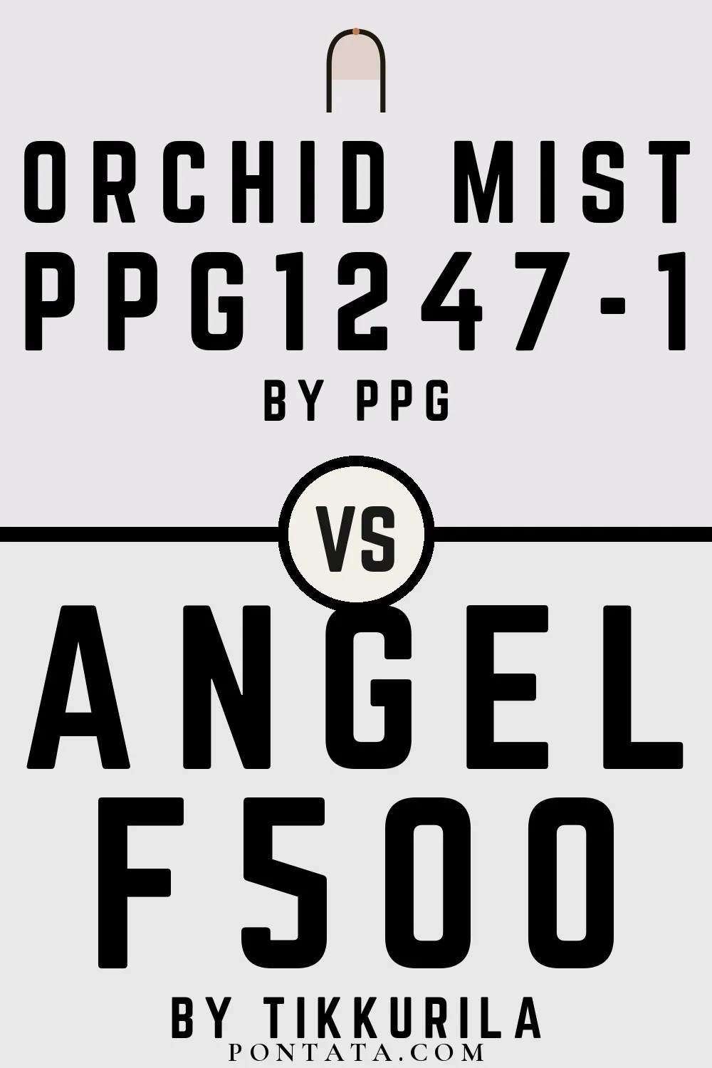 Orchid Mist vs Angel