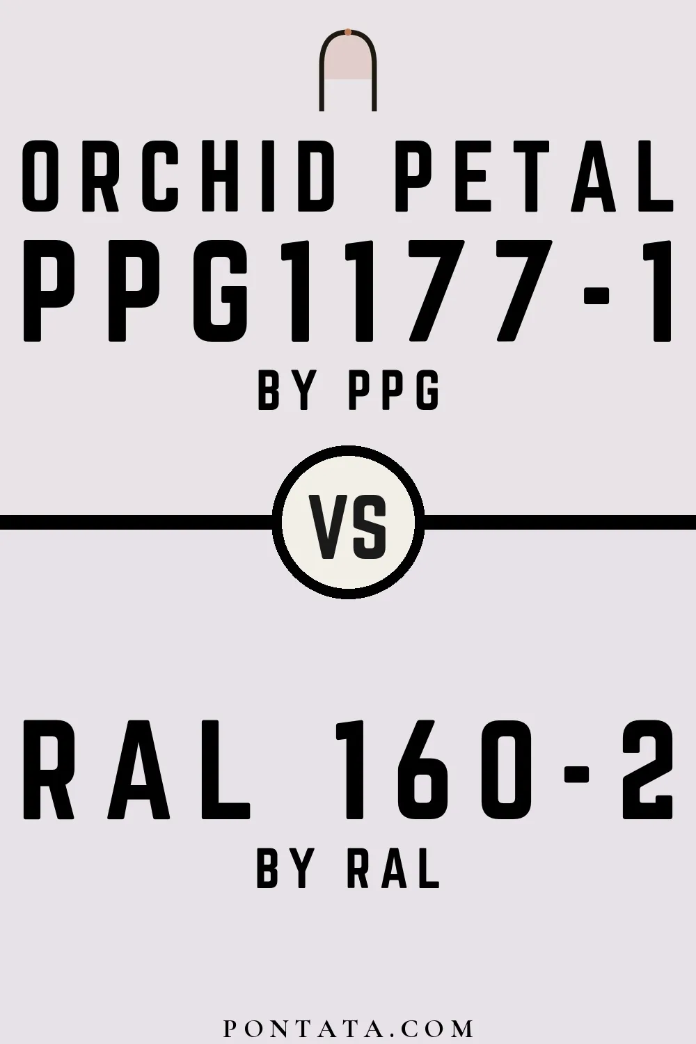 Orchid Petal vs RAL 160-2