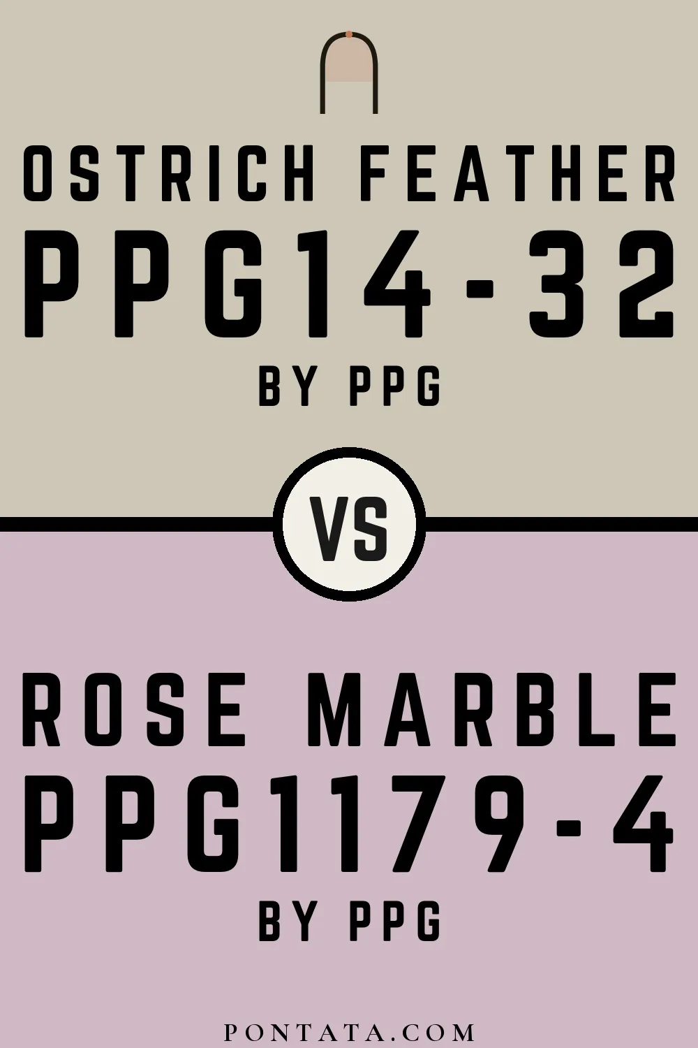 Ostrich Feather vs Rose Marble
