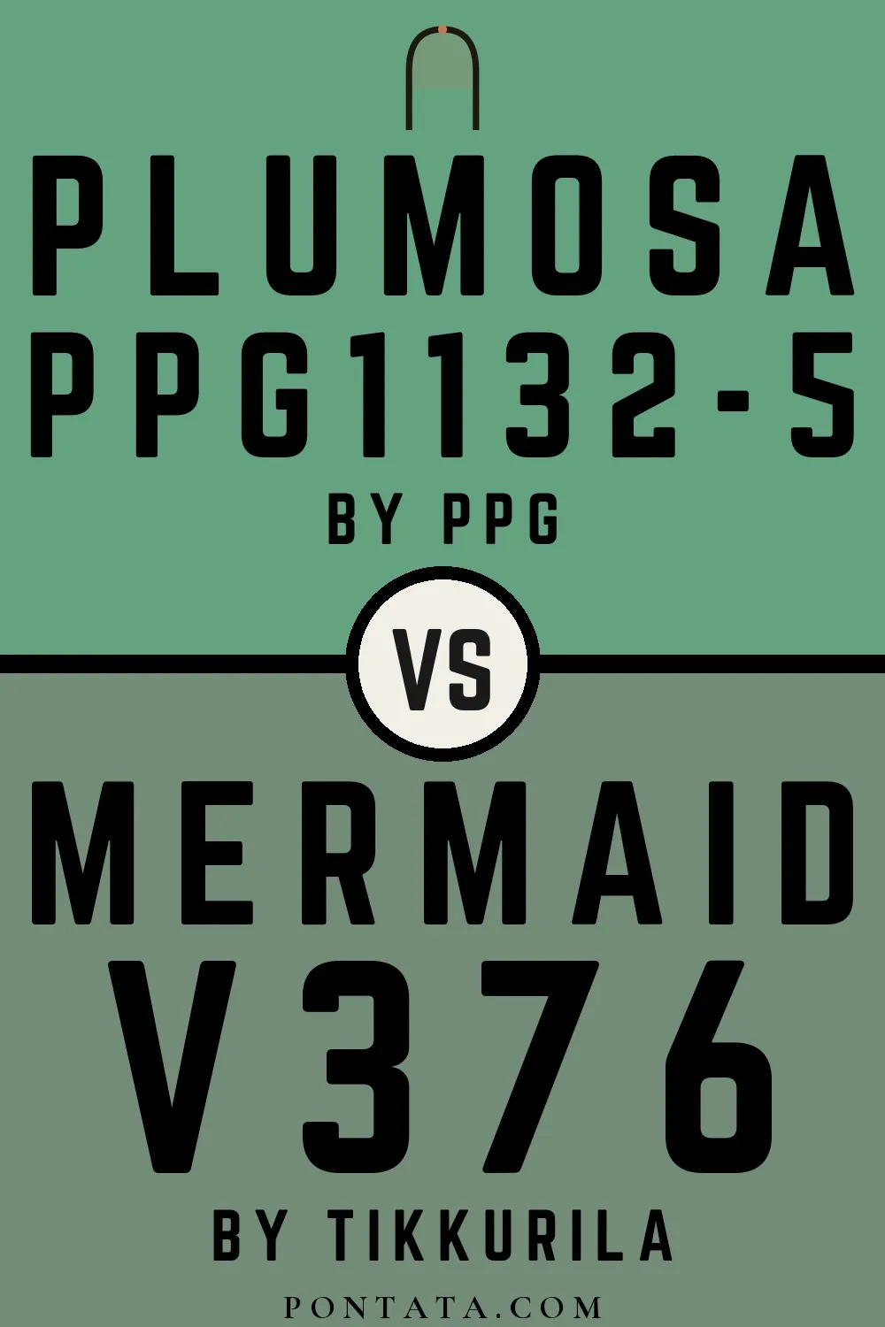 Plumosa vs Mermaid