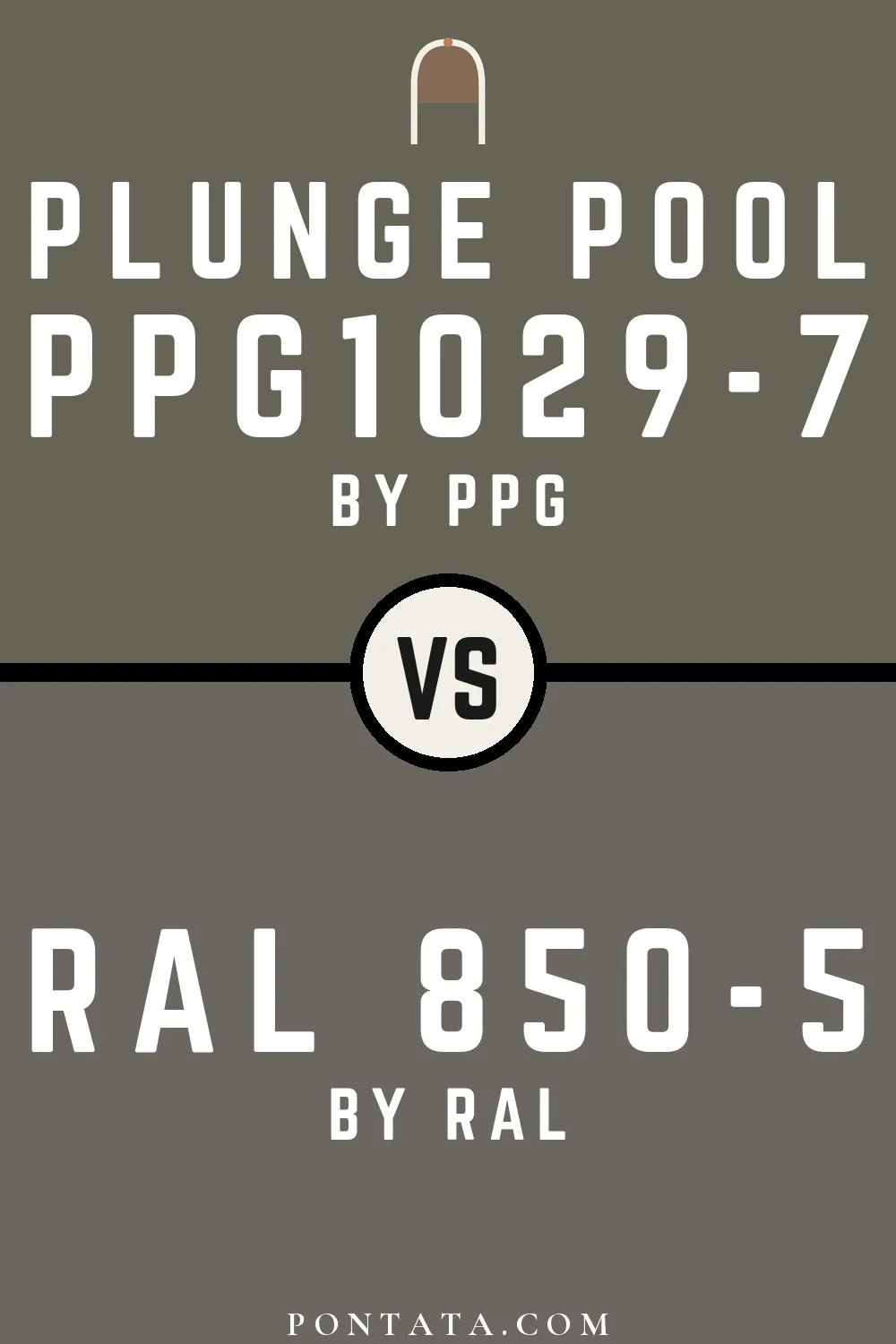 Plunge Pool vs RAL 850-5