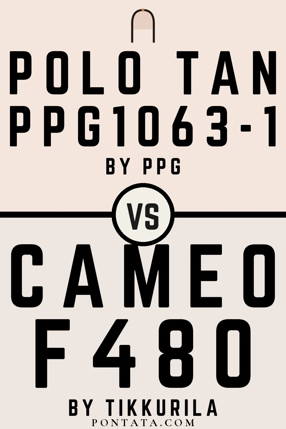 Polo Tan vs Cameo