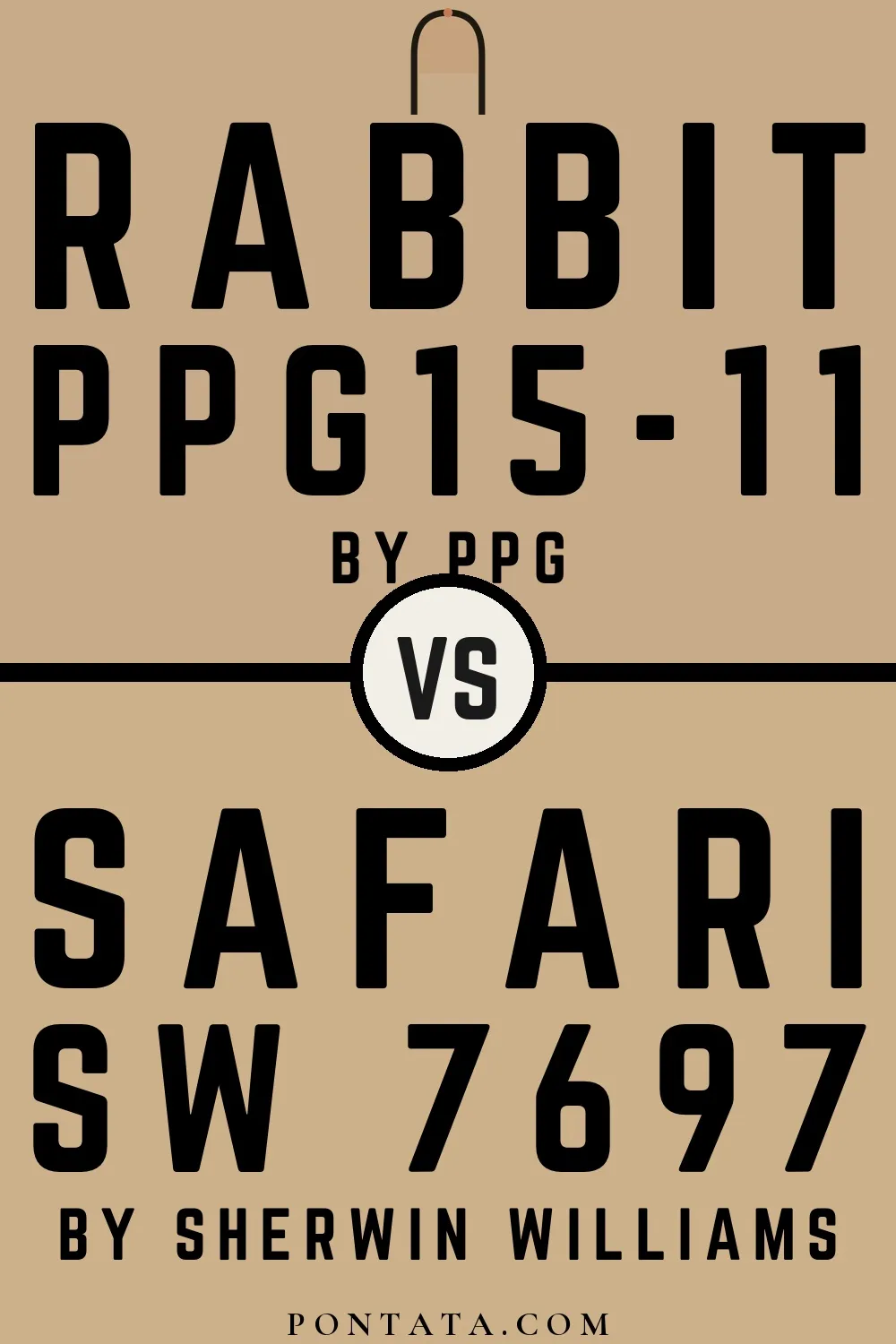 Rabbit vs Safari