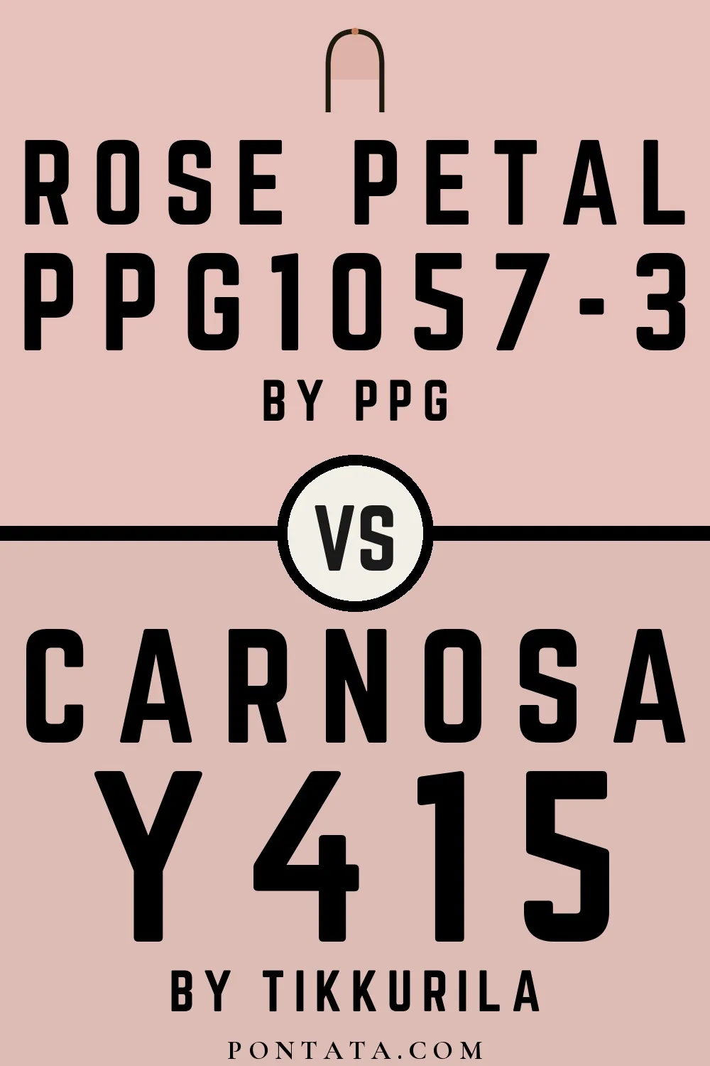 Rose Petal vs Carnosa