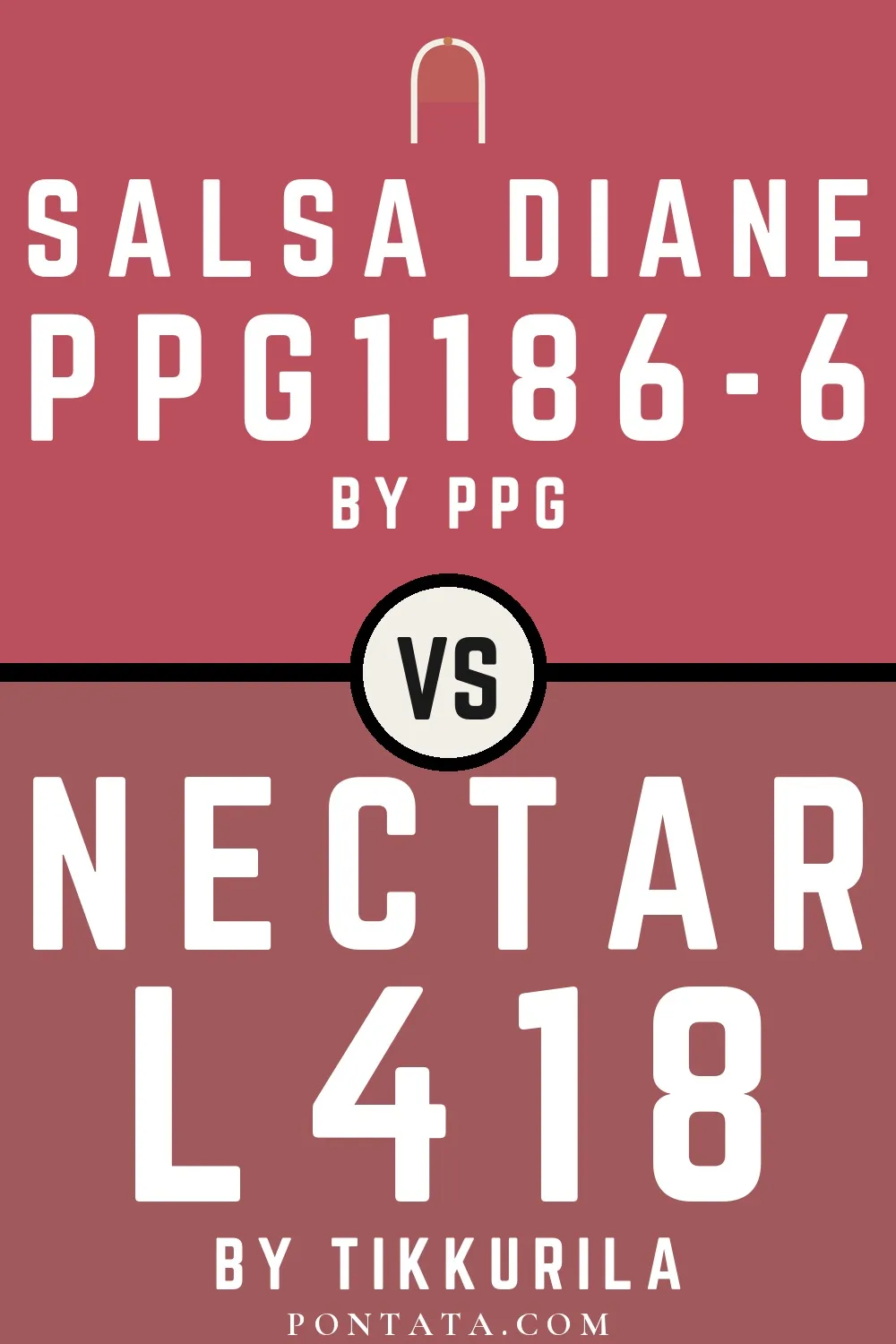 Salsa Diane vs Nectar