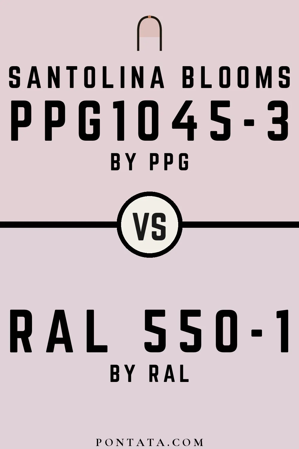 Santolina Blooms vs RAL 550-1