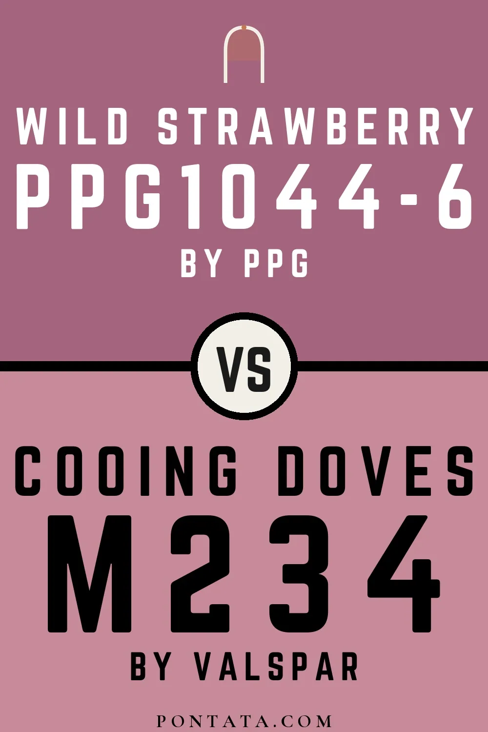 Wild Strawberry vs Cooing Doves