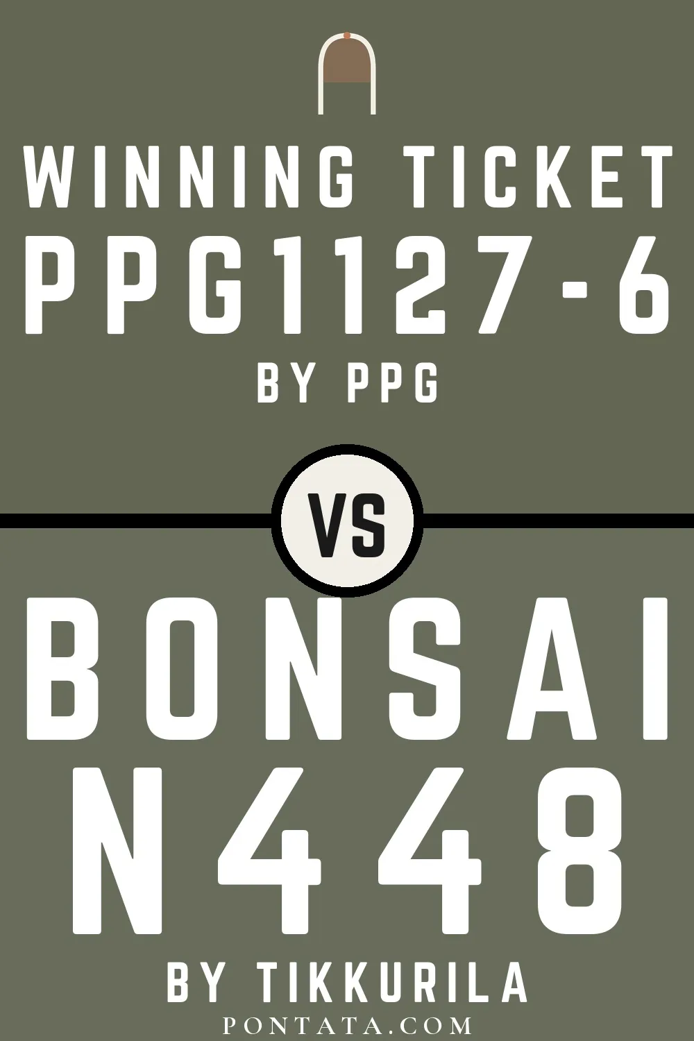 Winning Ticket vs Bonsai