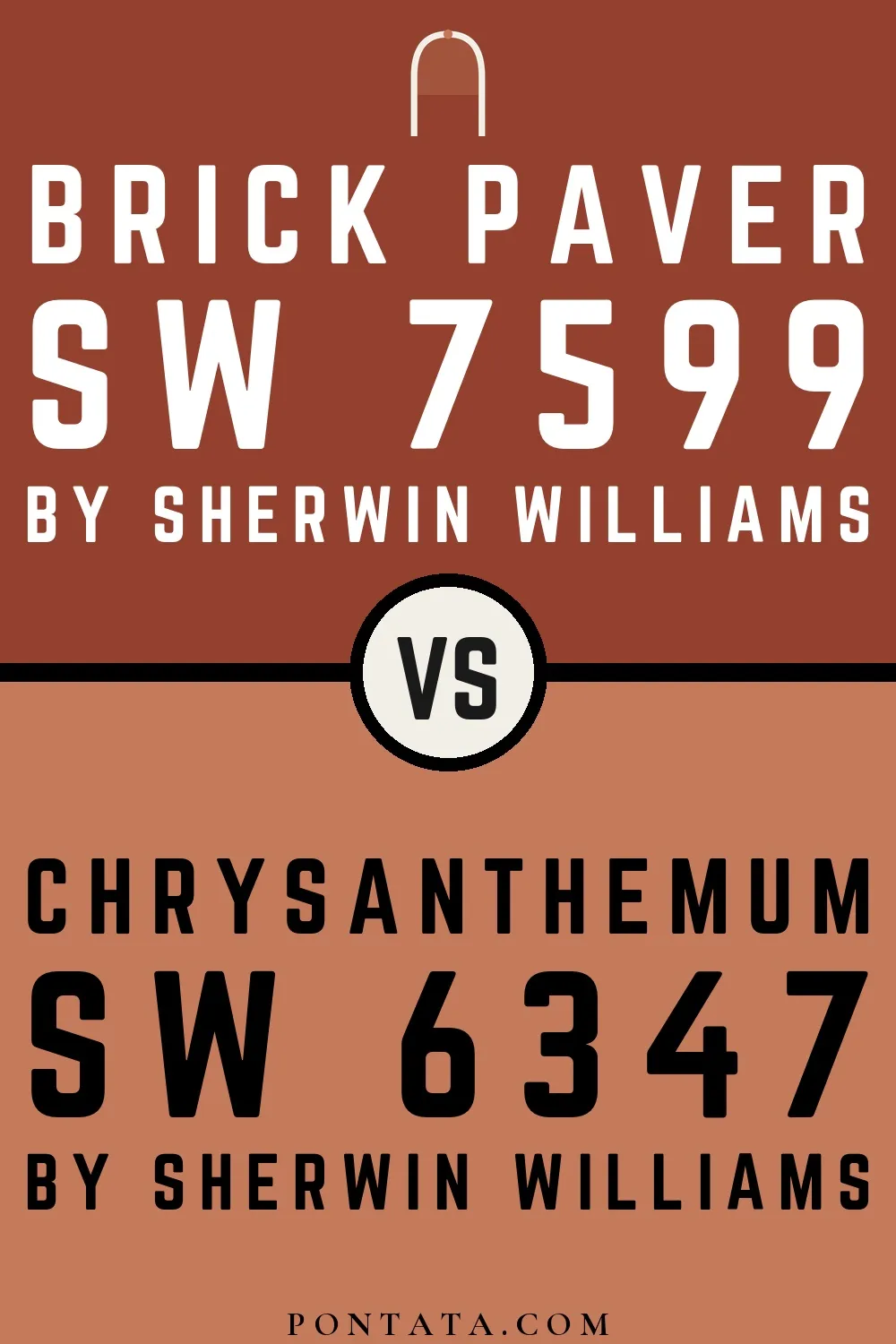 Brick Paver vs Chrysanthemum