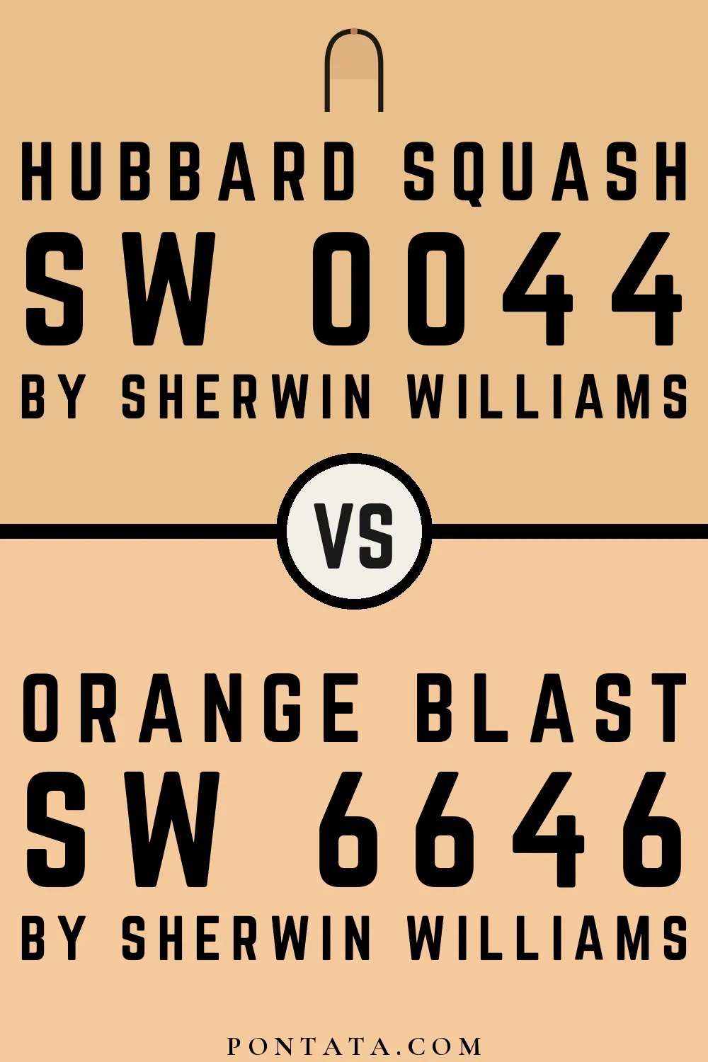 Hubbard Squash vs Orange Blast