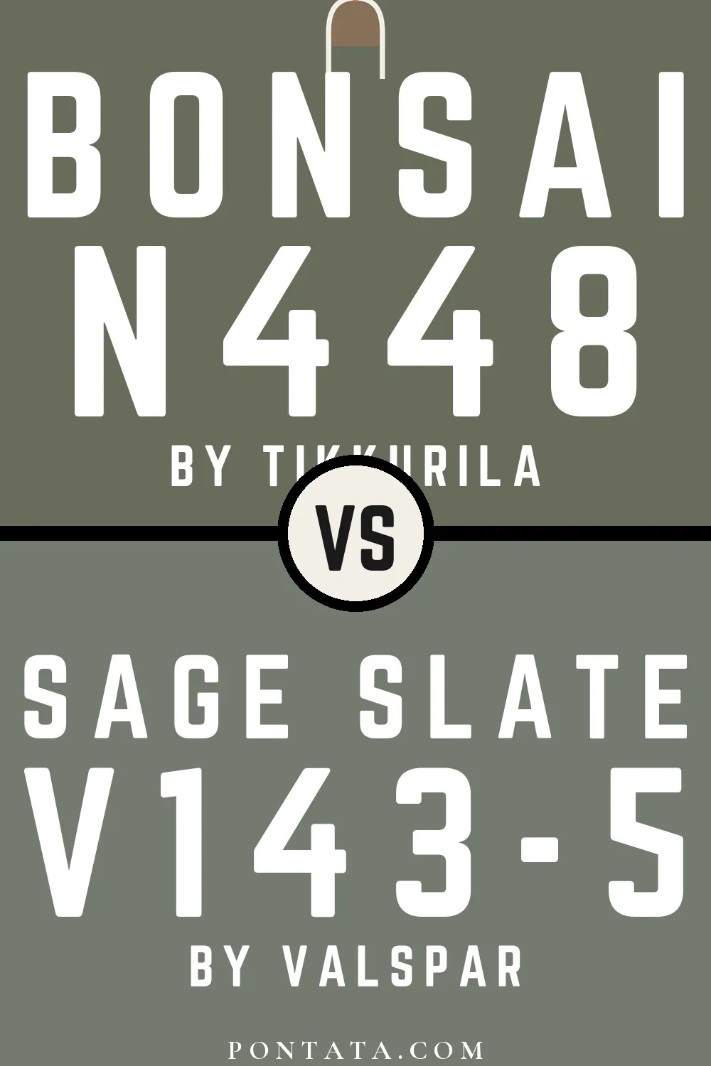 Bonsai vs Sage Slate